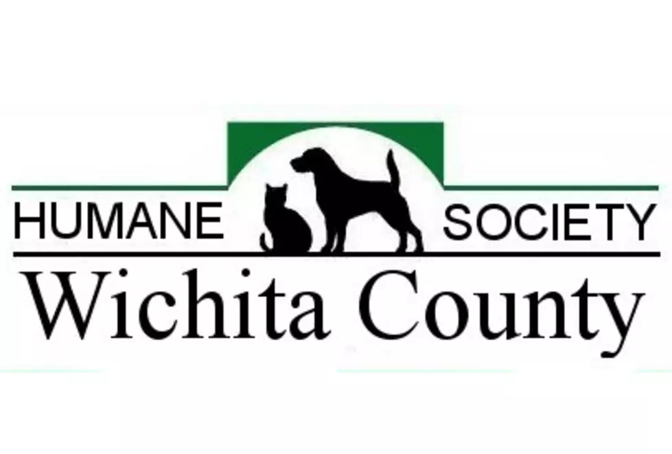 Humane Society Offering Free Spaying/Neutering