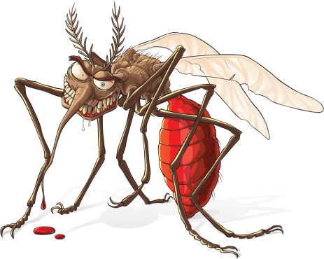mosquito-cartoon-gross-denis-zorin.jpg