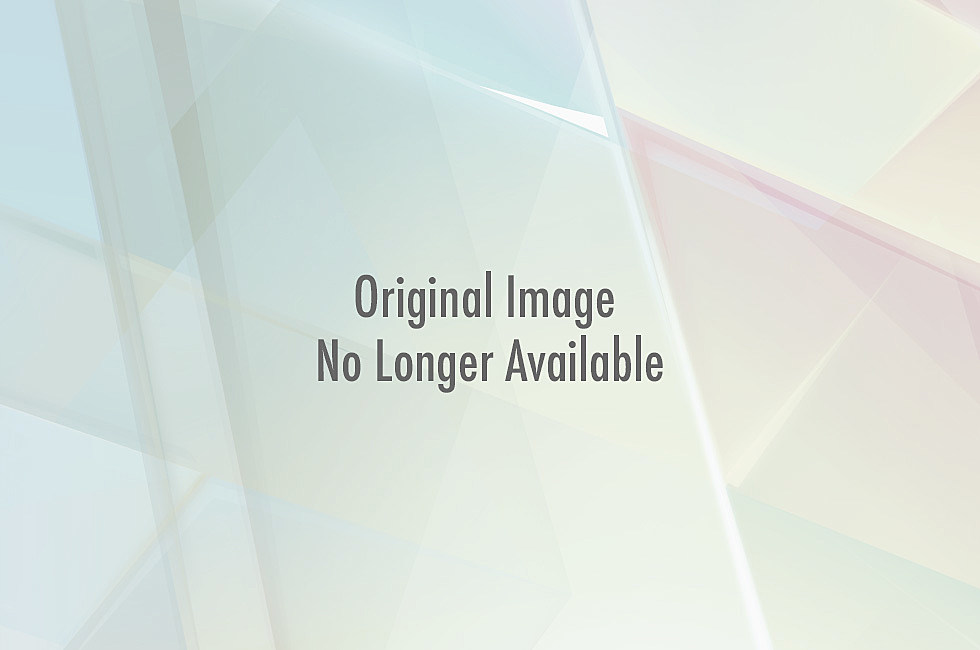 Toon-Link-Nendoroid-472x630.jpg