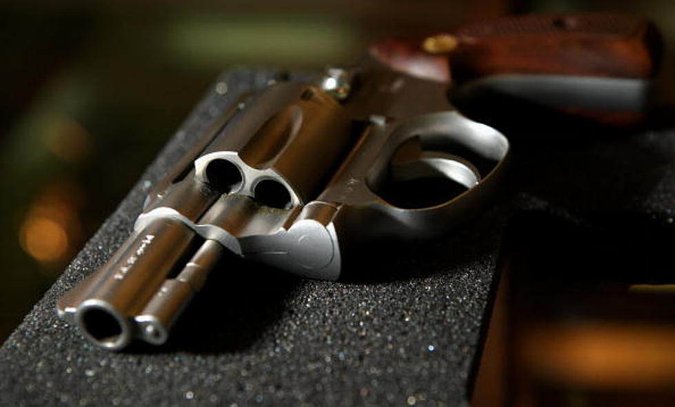 Lawmakers Reject Bill Banning Local Gun-Control