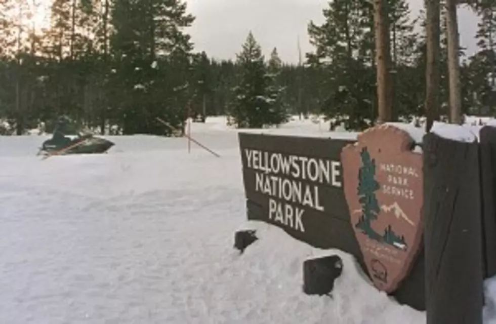 Yellowstone&#8217;s East Entrance To Open For Winter