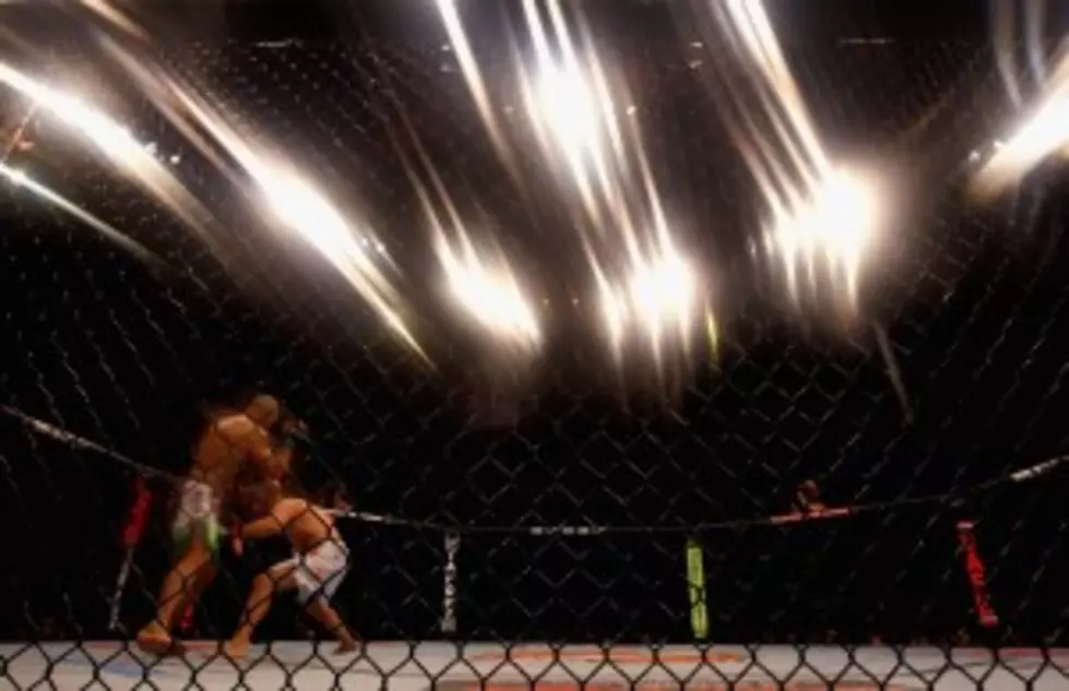 Wyo. Will Regulate Mixed Martial Arts Fights