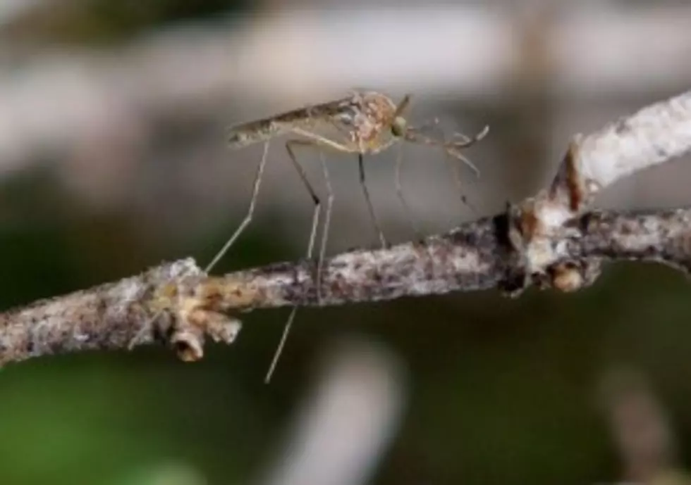 State Cautions Residents About West Nile