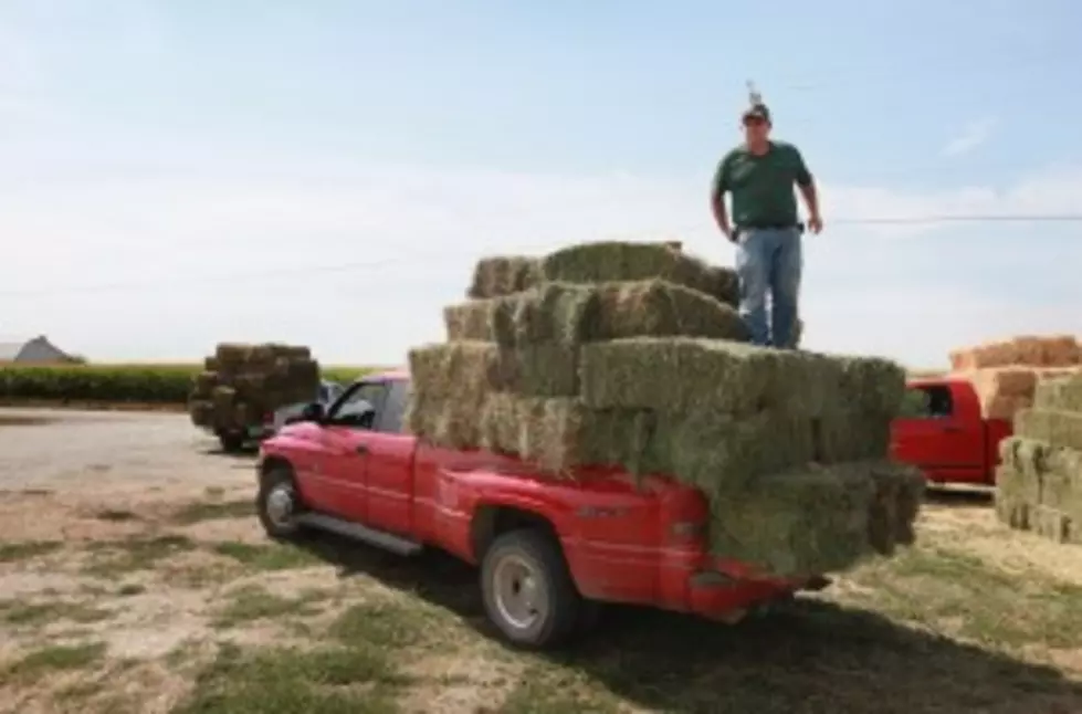 Wyo. Waives Oversize Fees For Hay Trucks