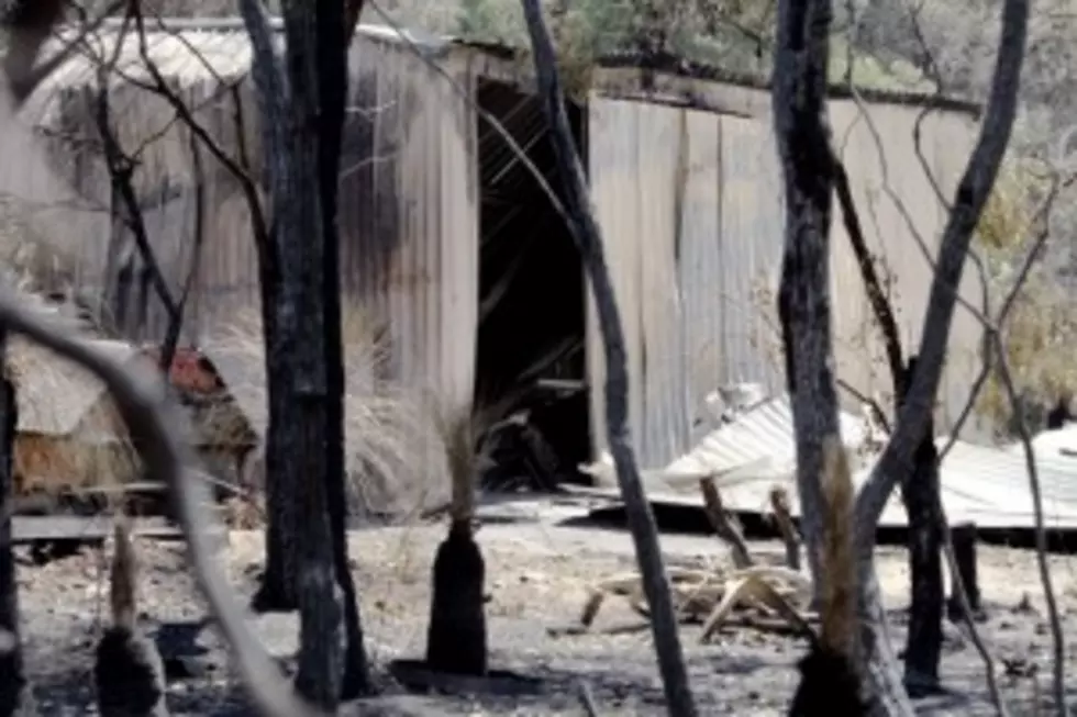 Tips To Help Protect Your Property From Wildfires