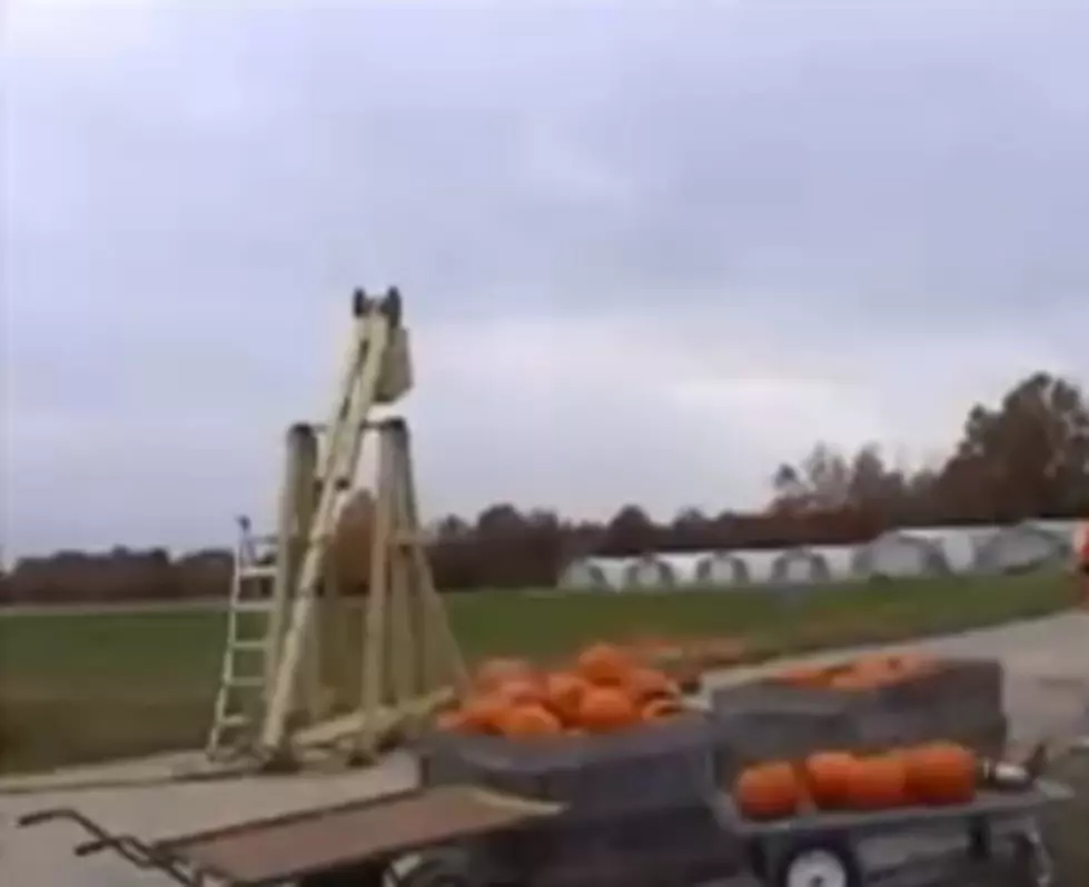 The Pumpkin Chunckin Competition [VIDEO]