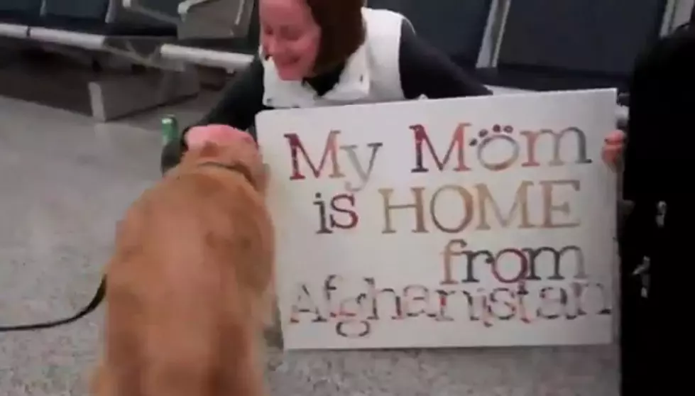 Dogs Welcome Home Their Deployed Owners [VIDEO]