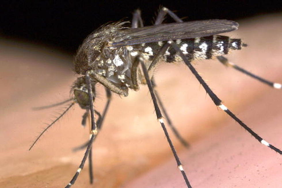 Avoid Death – Get Tested for West Nile Virus