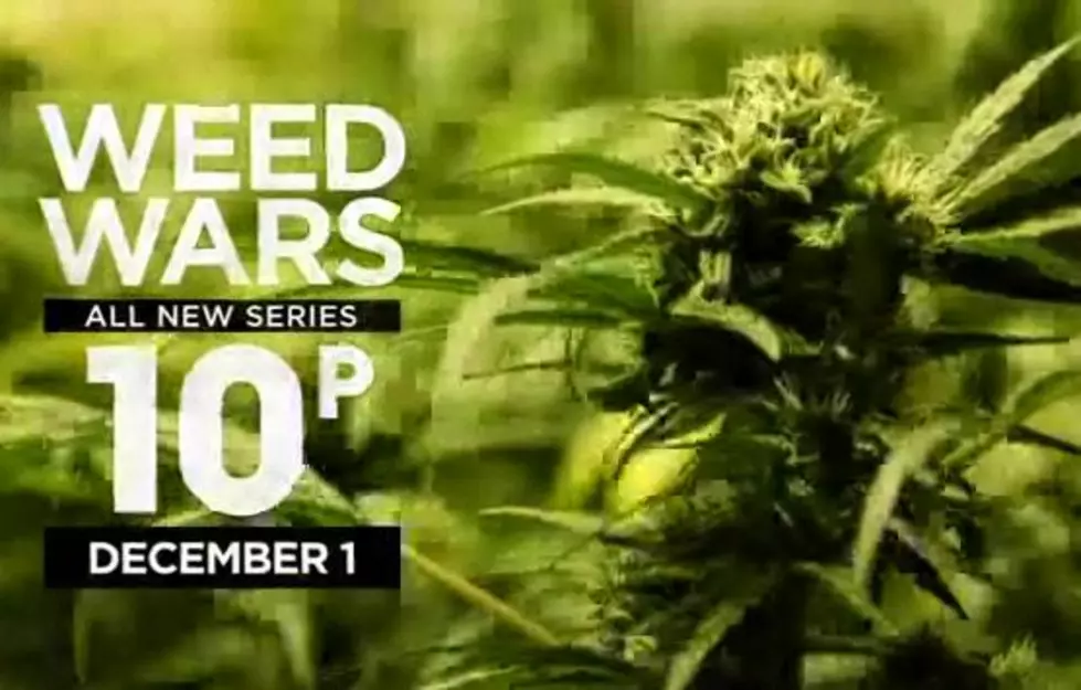 Discovery Channel&#8217;s Weed Wars is About to be My Favorite Show [VIDEO/AUDIO]