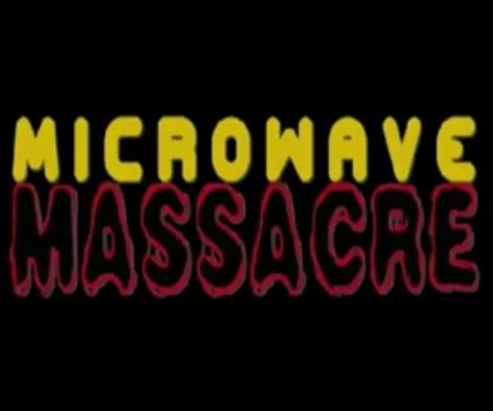 Microwave Massacre Is Just Plain Awesome! [VIDEO]