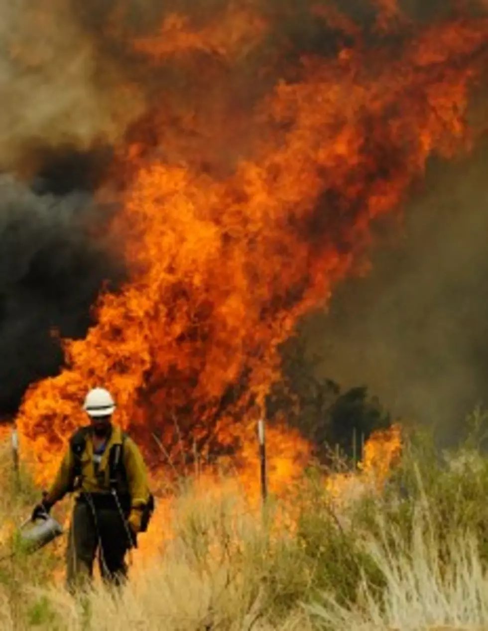 State Forester: Fire Fighting Resources Taxed [AUDIO]