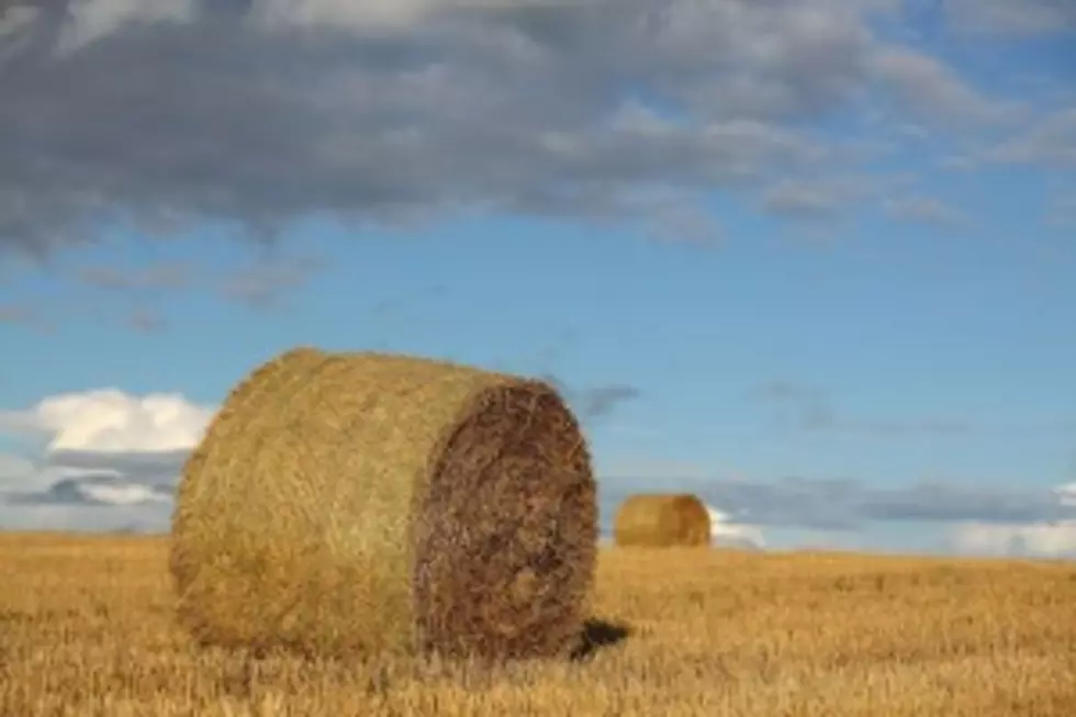 Wyoming Hay Prices Up Again in July [AUDIO]