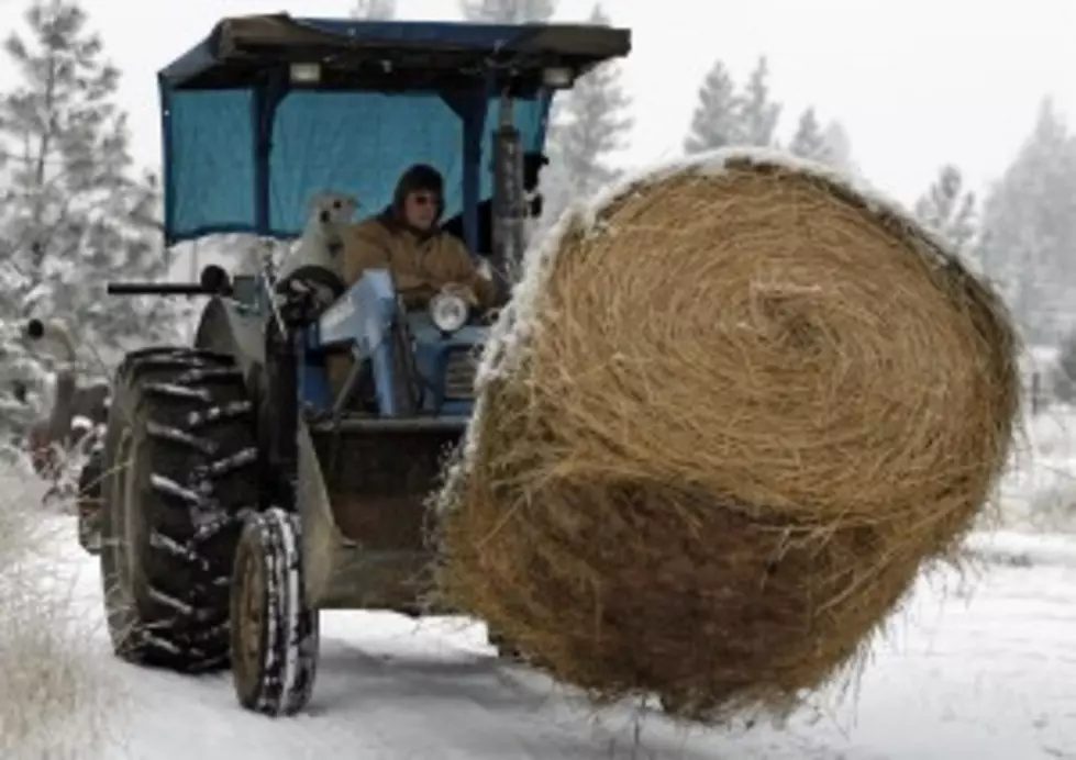 WYDOT Is Waiving Oversize Load Fees For Hay [AUDIO]