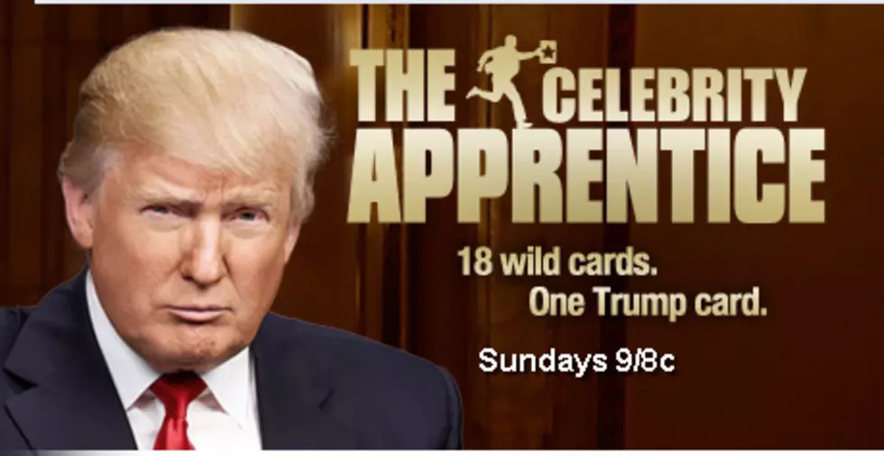 Celebrity Apprentice&#8217;s Big Bully – Would You Hire Lisa Lampenelli? [VIDEO] [POLL]