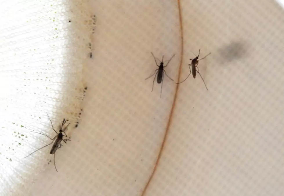 Multiple West Nile Virus Cases Reported in East Texas