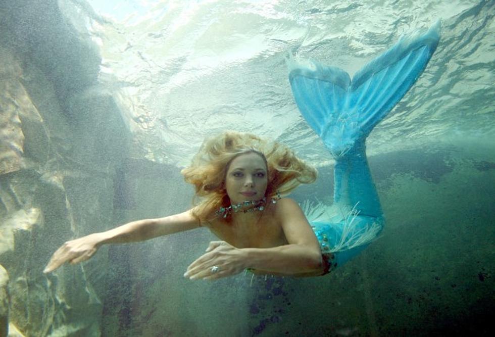 Breaking News – Government Declares Mermaids Do NOT Exist