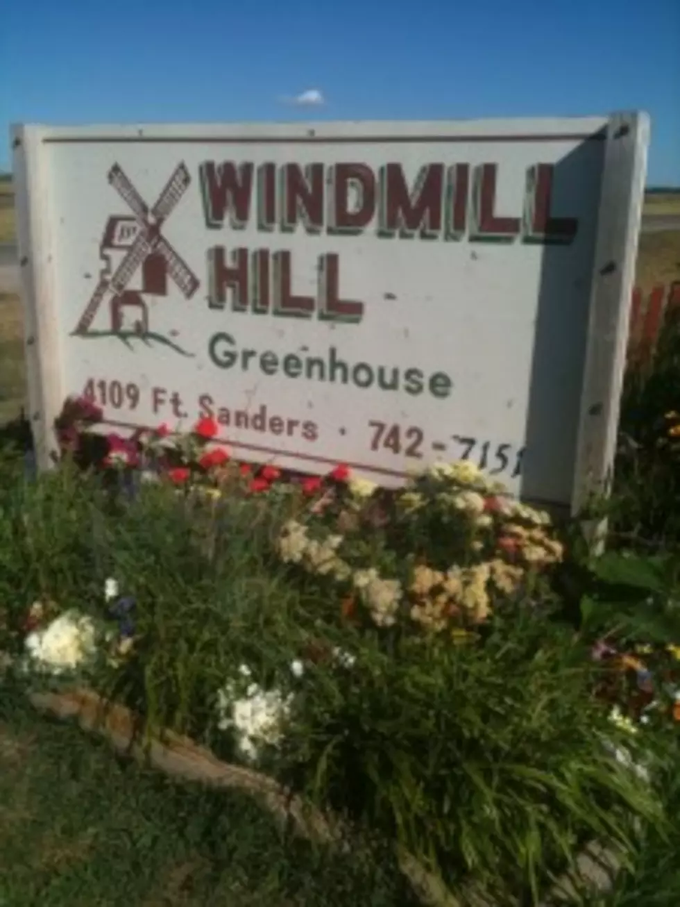 Windmill Hill Nursery Offers Friendly Advice &amp; Holds Big Labor Day Sale [Advertorial]