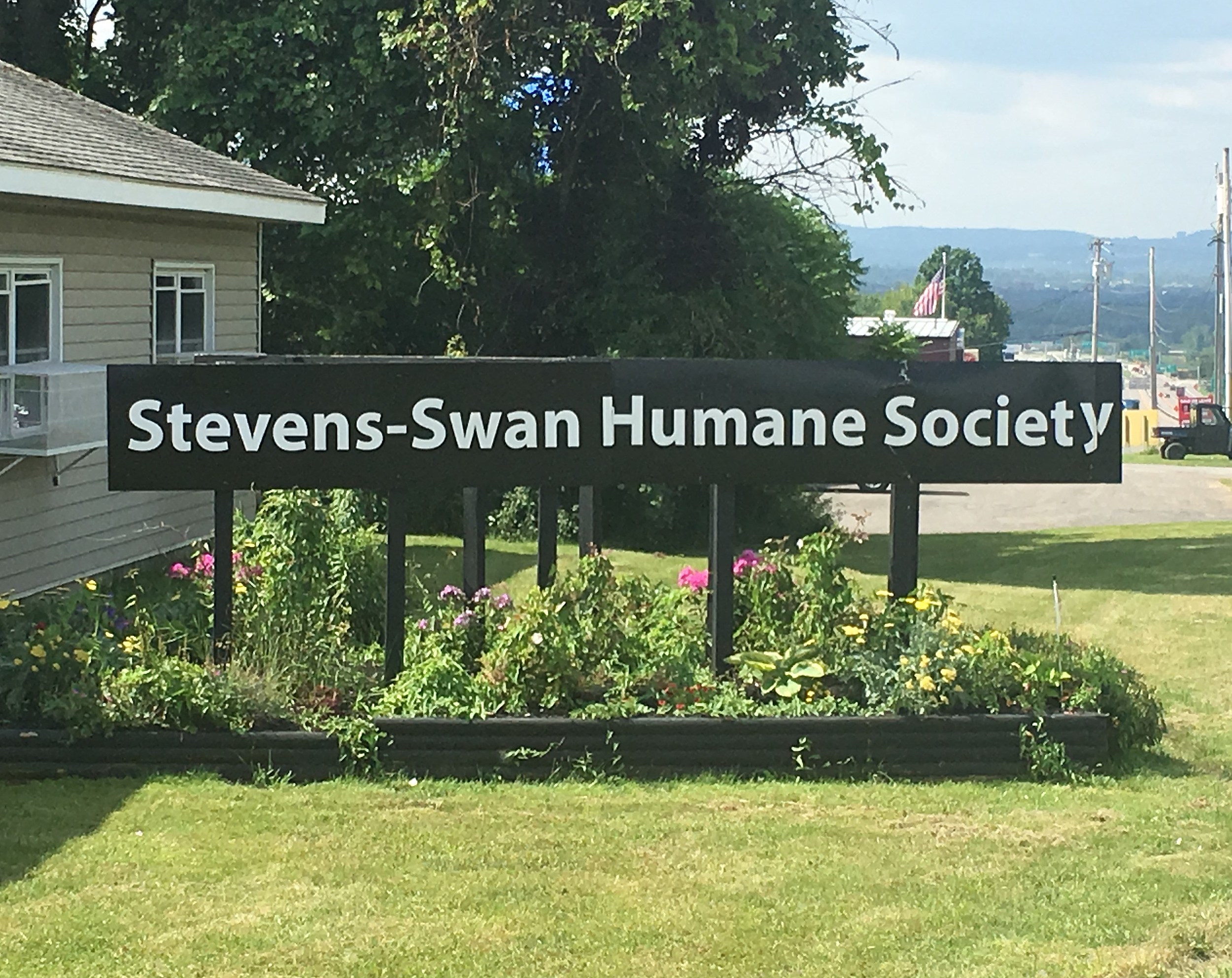 Stevens-Swan Has Discounted Adoption Rates For Friday Only3050 x 2421