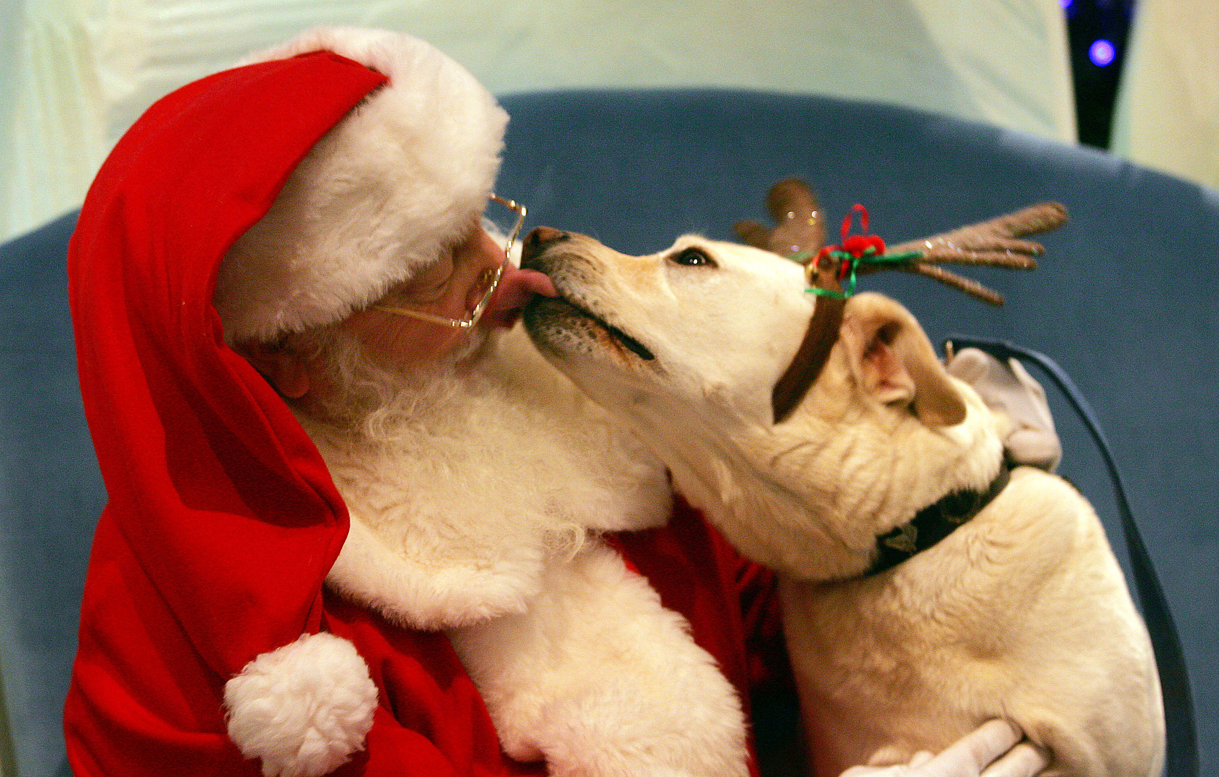 These Pets LOVE Santa! Emerald Animal Hospital
