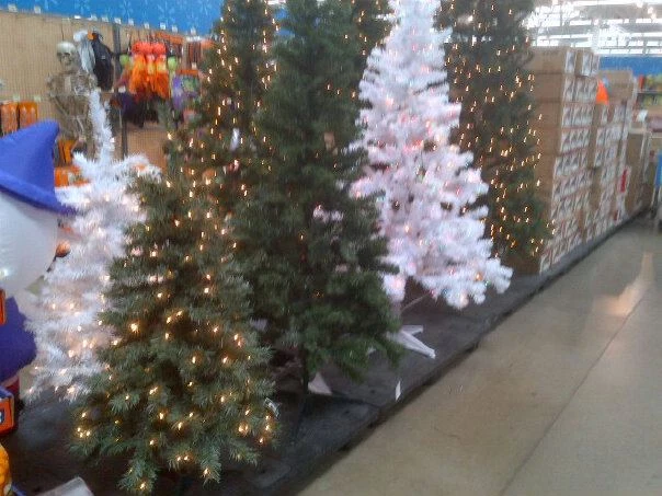 Christmas trees on sale at Walmart (Dan Alexander, Townsquare Media ...