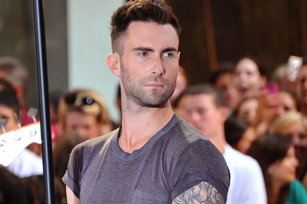 Who Does Adam Levine Want to Punch in the Face?