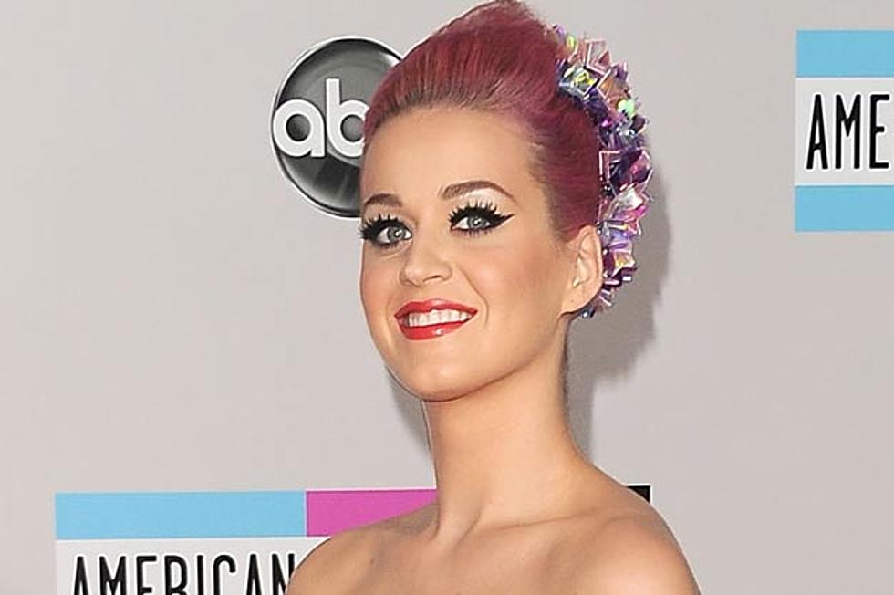 Katy Perry Raises $175,000 for 50 Non Profits Through California Dreams Tour