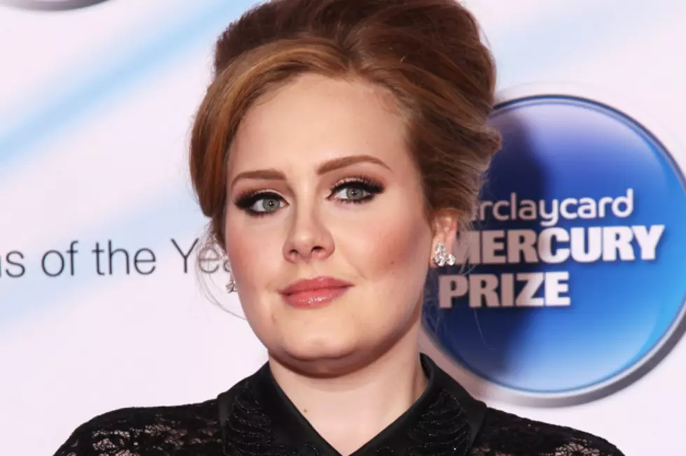 Adele Fans Will Have to Wait Two to Three Years for New Album