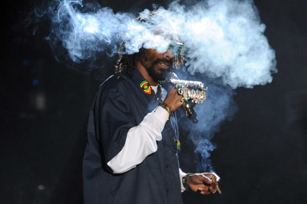 Snoop Dogg Helps Willie Nelson Celebrate 4/20 Day On &#8216;Roll Me Up&#8217;