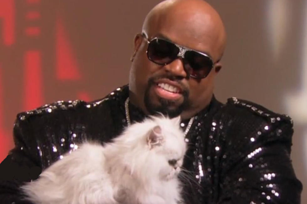Cee Lo&#8217;s Cat Purrfect Has a Twitter Account