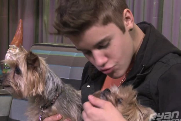 Justin Bieber Puppy