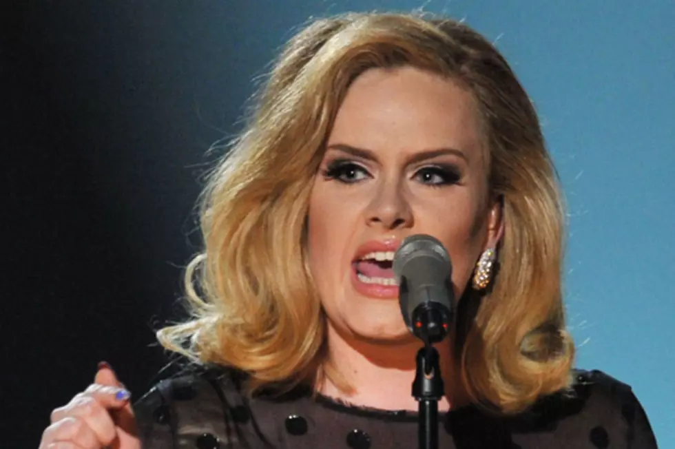 New Book Promises to Tell All About Adele