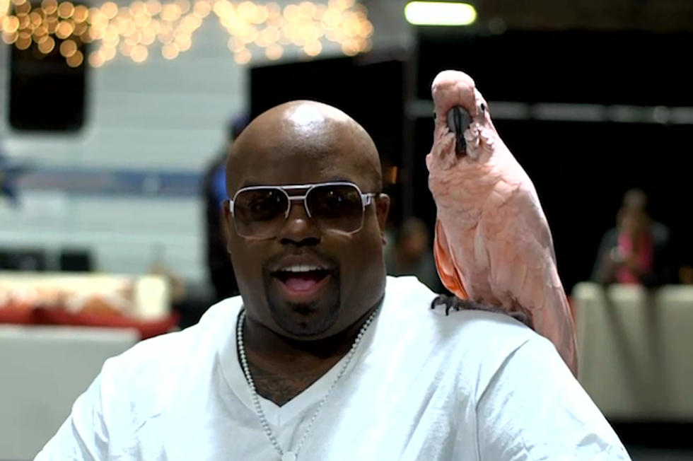 Cee Lo Green Warned Against Bringing Cockatoo to &#8216;The Voice&#8217; Set