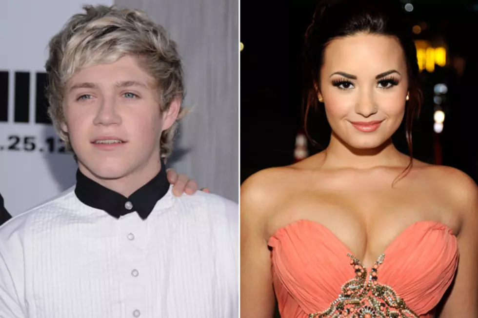 Is Romance in the Future for One Direction Cutie Niall Horan and Demi Lovato?