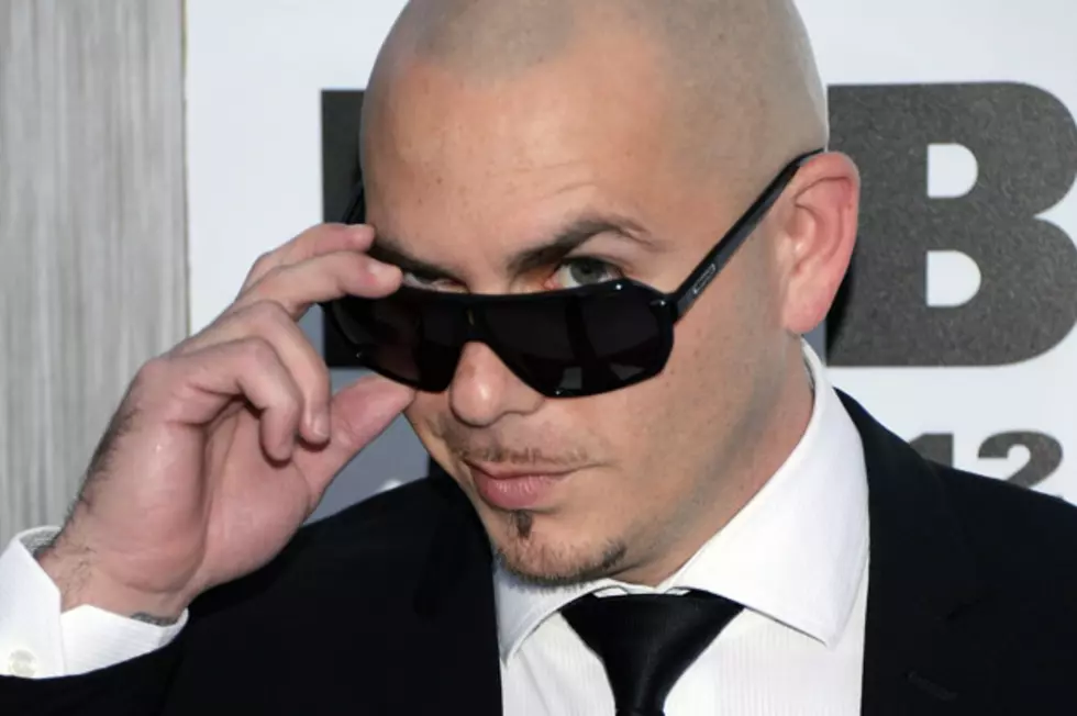 Pitbull to Be Sent Off to Remote Island in Alaska Due to Internet Prank