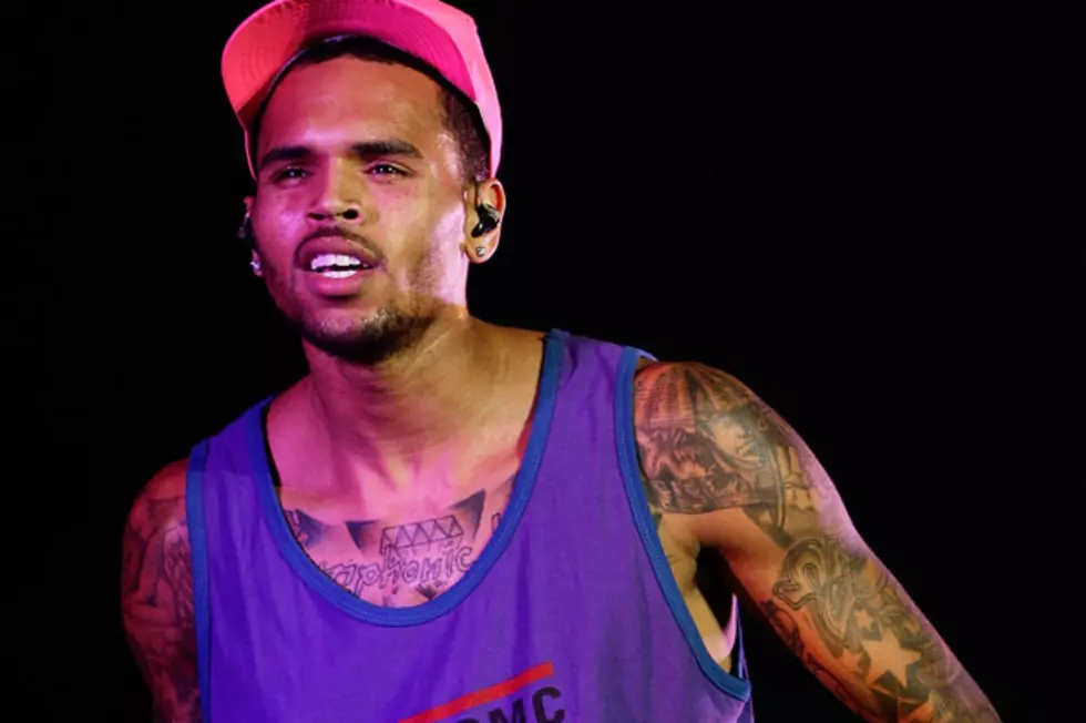 Did Chris Brown Use a Gay Slur Against a Fan?