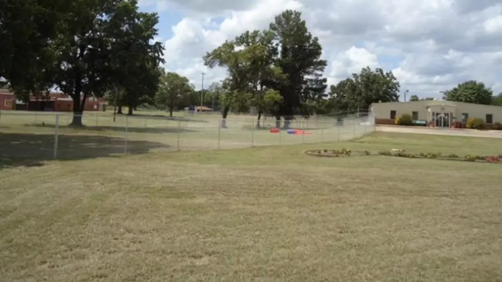 Animal Shelter in Texarkana Gets New Playground For Dogs [PHOTOS]