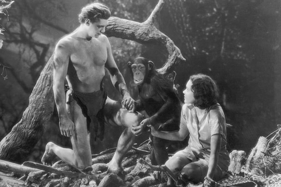 Tarzan Swinging Back To Big Screen But Who&#8217;ll Wear The Loincloth?