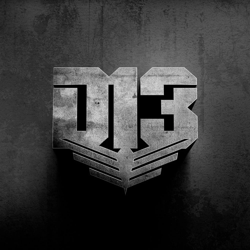 The-Hunger-Games-Mockingjay-District-13-Logo.jpg
