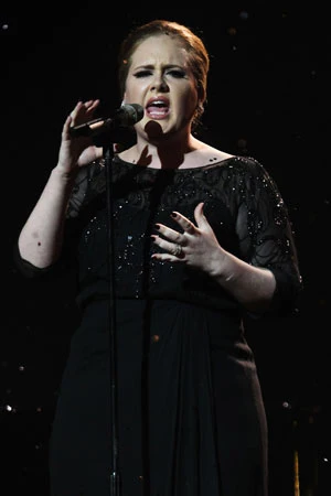 British singersongwriter Adele admits that she pulled inspiration for her