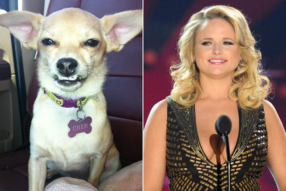 Miranda Lambert Lets One of Her Pups Take Over Her Twitter Page