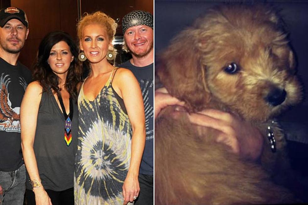 Little Big Town&#8217;s Phillip Sweet Welcomes New Member to His Family