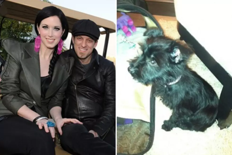 Thompson Square Get a New Puppy