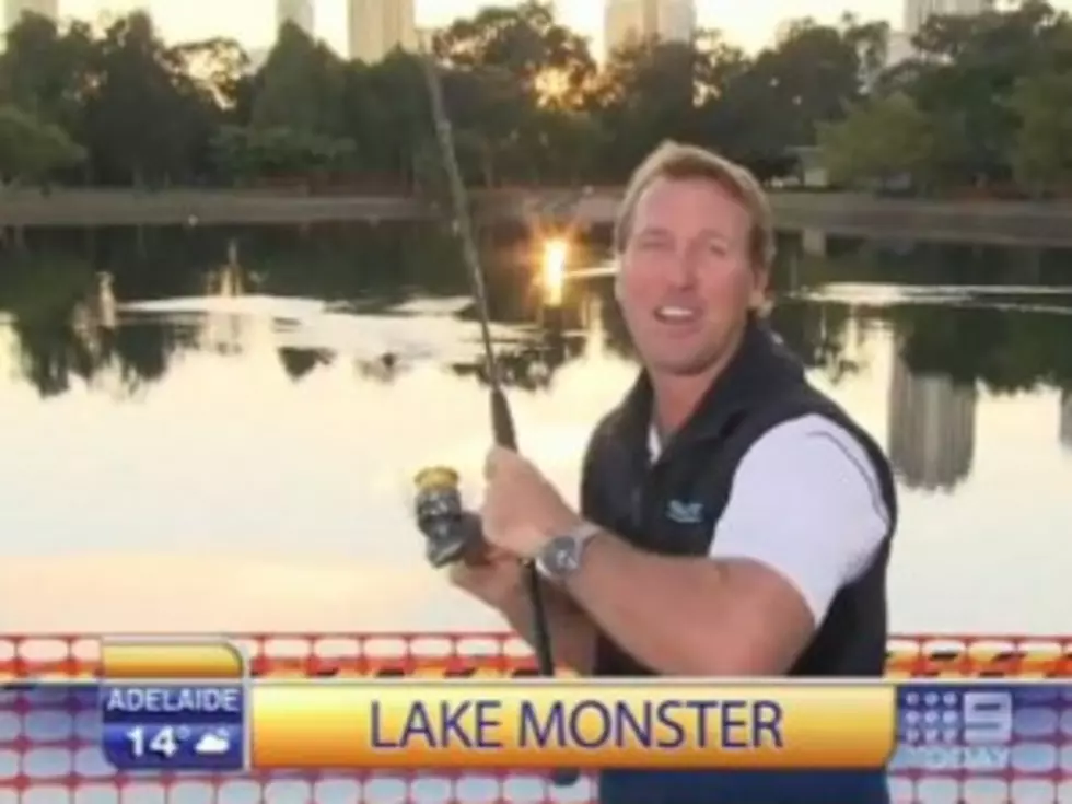 Awkward! Shark Expert Accidentally Catches Duck (Not Shark) During Disastrous Live News Segment [VIDEO]