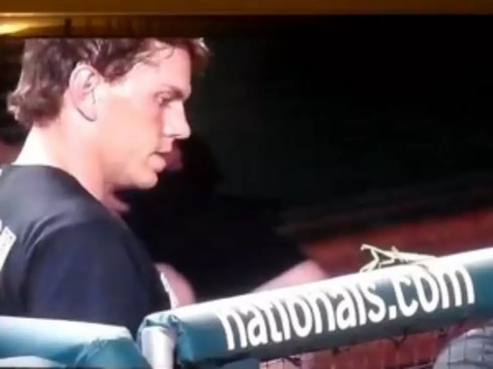 Florida Marlin Logan Morrison Flips Out Over Bug in the Dugout [VIDEO]