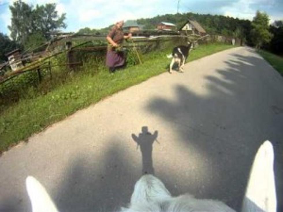 Goat Wears a Helmet Cam [VIDEO]