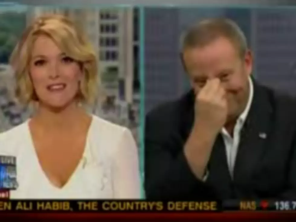 Fox News&#8217; Megyn Kelly Smacks Down Pundit for Calling Her Maternity Leave &#8216;a Racket&#8217; [VIDEO]