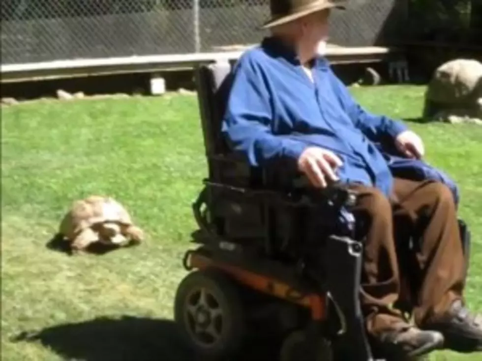 Tortoise Races Old Man in Motorized Wheelchair [VIDEO]