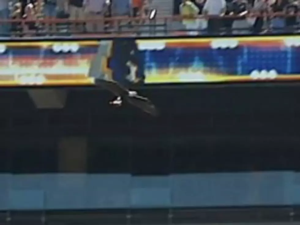 Auburn University’s Eagle Mascot Flies Right Into Stadium Luxury Box [VIDEO]