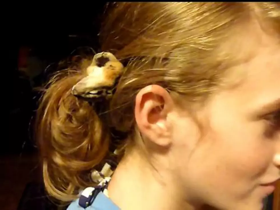 Woman Lets Non-Singing Chipmunk Sleep in Her Hair [VIDEO]