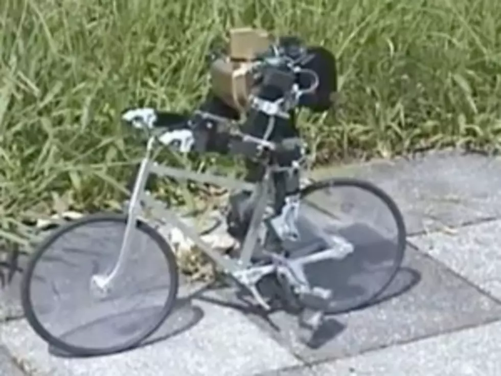Bike Riding Robot Is Adorable, Will Likely Enslave Humanity [VIDEO]